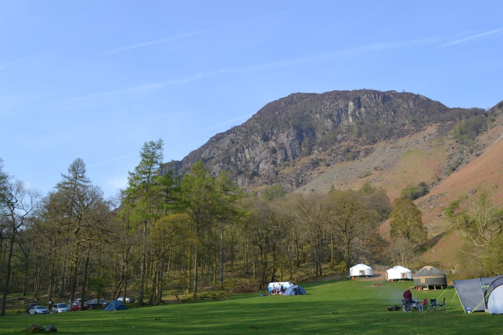 DSC_0006