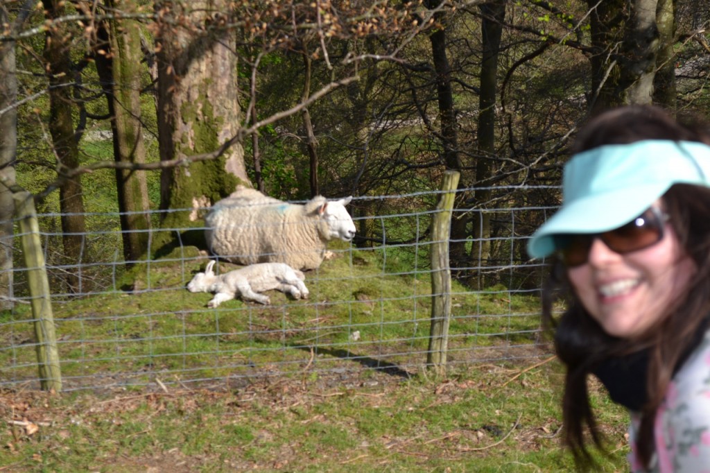 DSC_0135