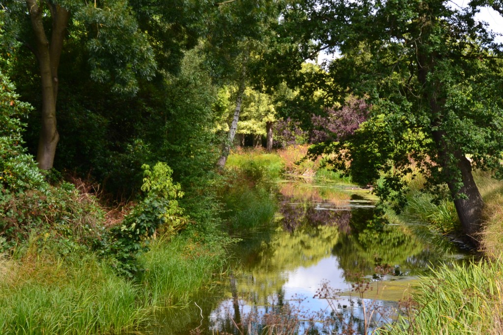 DSC_0016