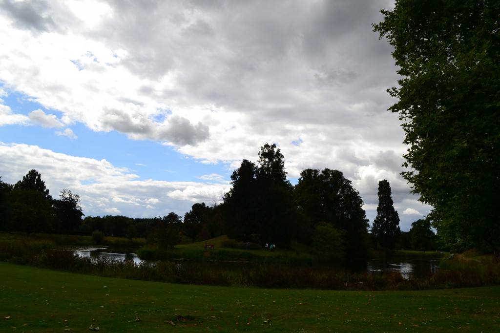 DSC_0021