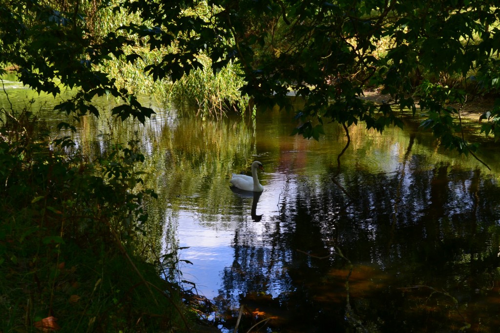DSC_0028