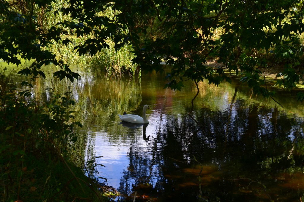 DSC_0029