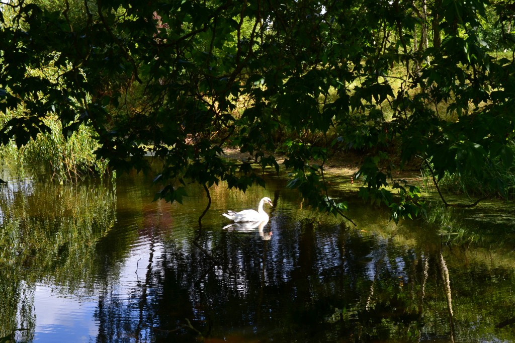 DSC_0031